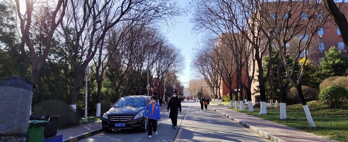 人力资源管理专业哪个学校比较好,人力资源管理专业可以去哪些学校