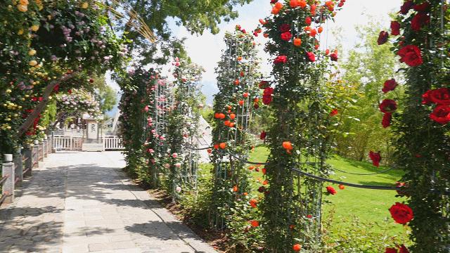 云南六一儿童节旅游攻略,云南适合小朋友旅游的地方