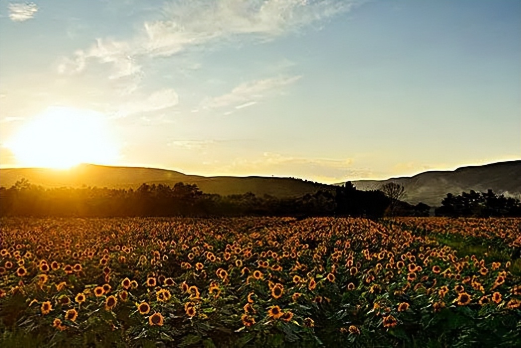 9成人都不知道的内蒙漠南神秘之旅丨沙漠迪士尼+外星球+骑马