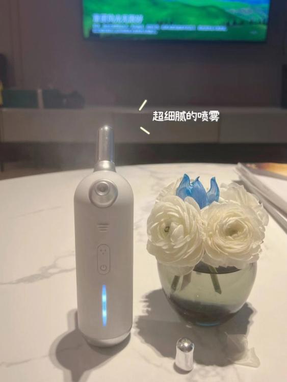 保湿美容仪推荐哪款,中性美容仪推荐牌子女士