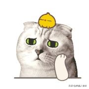 猫咪突然干呕一直睡觉,猫咪突然咳嗽干呕是生病了吗