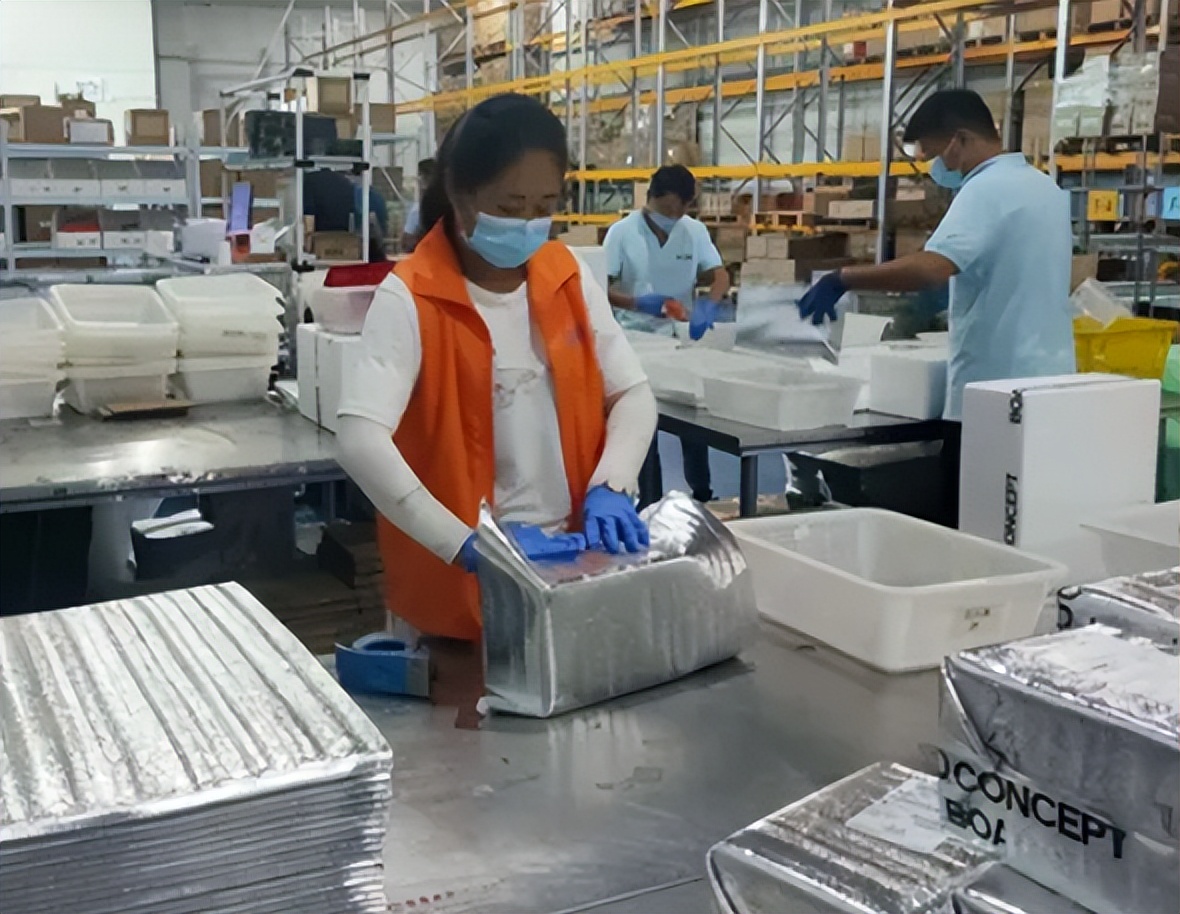 云仓代发和一件代发区别,云仓一件代发使用什么erp