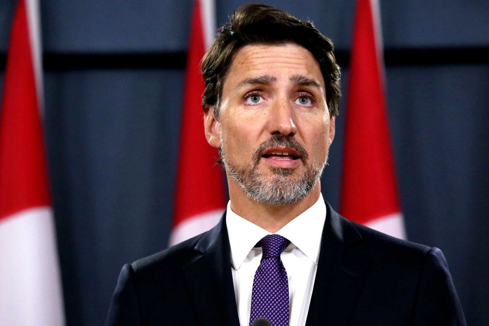 加拿大发布涉港声明,加拿大对台海局势态度