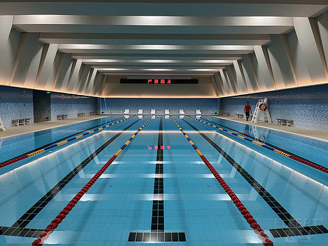 鍒濆涔嬫梾榛勯噾娴峰哺,鍒濆涔嬫梾