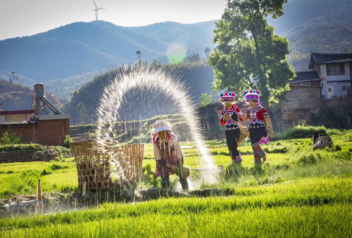 读懂中医经典古籍需要学习什么,中医古籍书目有哪些
