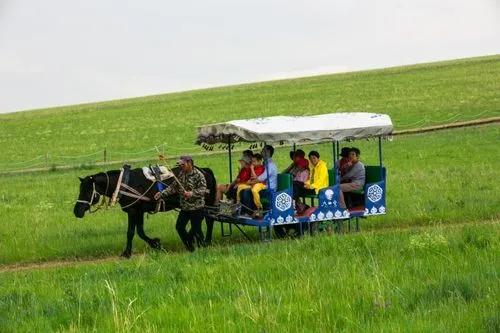 天堂草原内蒙古,天堂草原乌拉盖宣传片