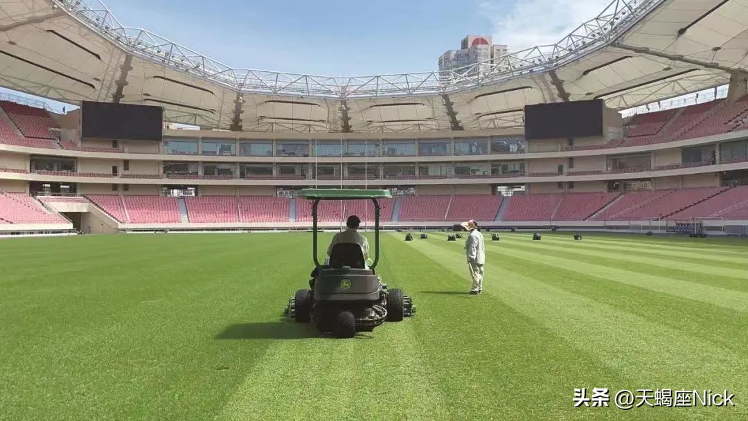 中超赛事报告长春亚泰vs上海申花,中超联赛2020第十轮申花vs鲁能