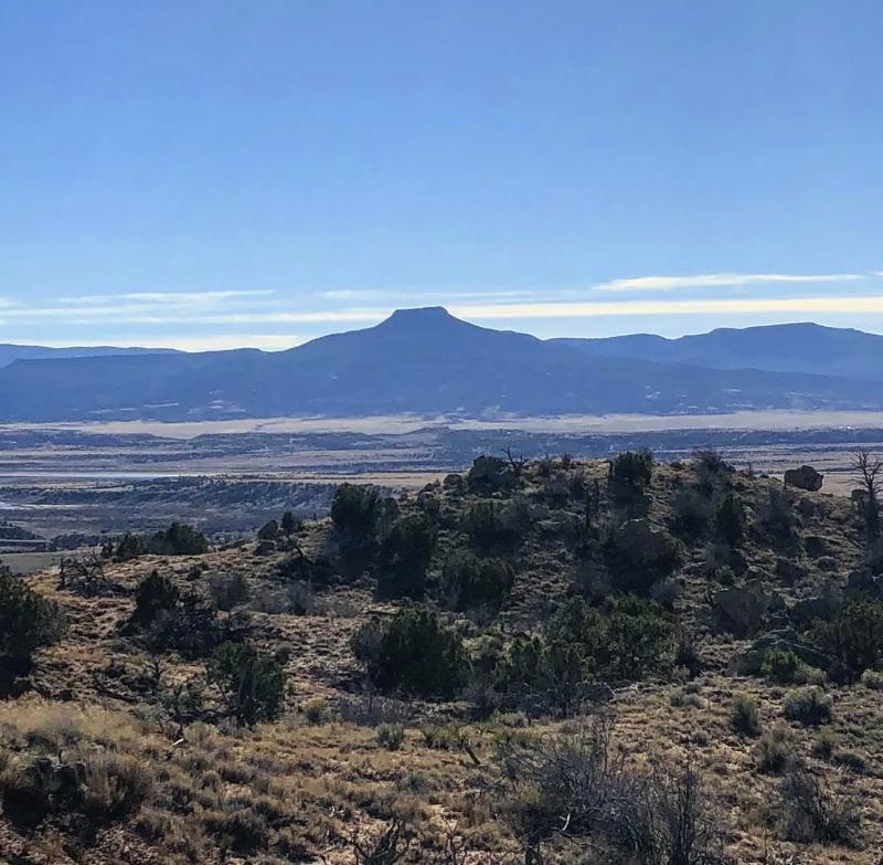 世界知名女画家独居沙漠35年！拒毕加索登门…网友：连家都是艺术