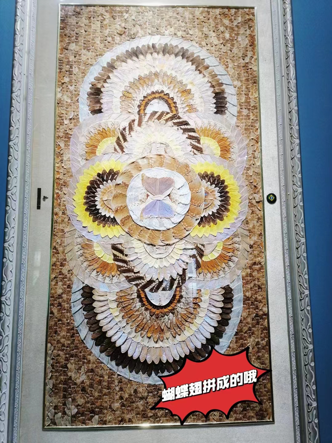 如何购买日本二手商品,二手日本玩具交易市场