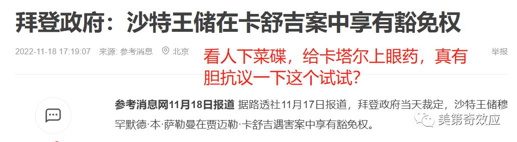 世界杯伊朗对德国,德国对伊朗世界杯