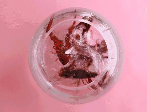 小龙虾头怎么吃,小龙虾什么部位不能吃