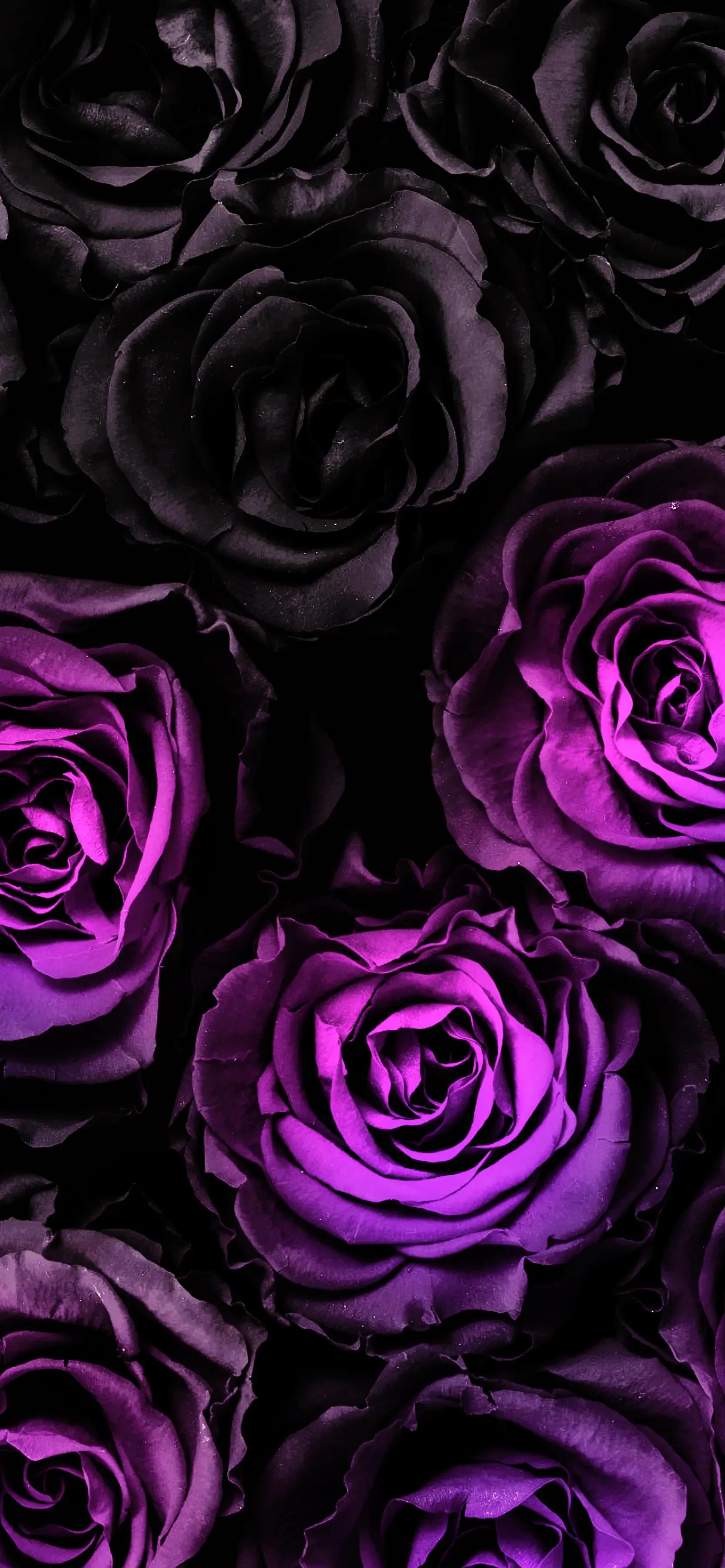 高清壁纸全面屏手机,围棋壁纸高清全面屏