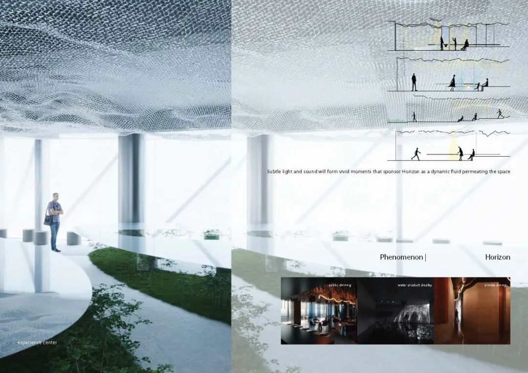 2024霍普杯解读,2016霍普杯解析