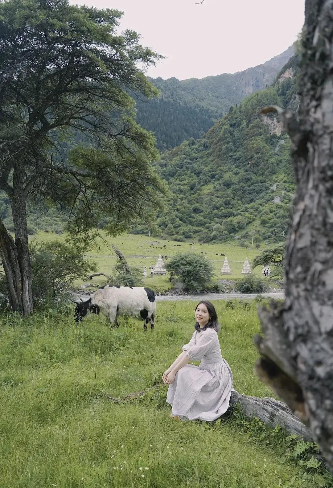 过犹不及,过犹不及水满则溢什么意思