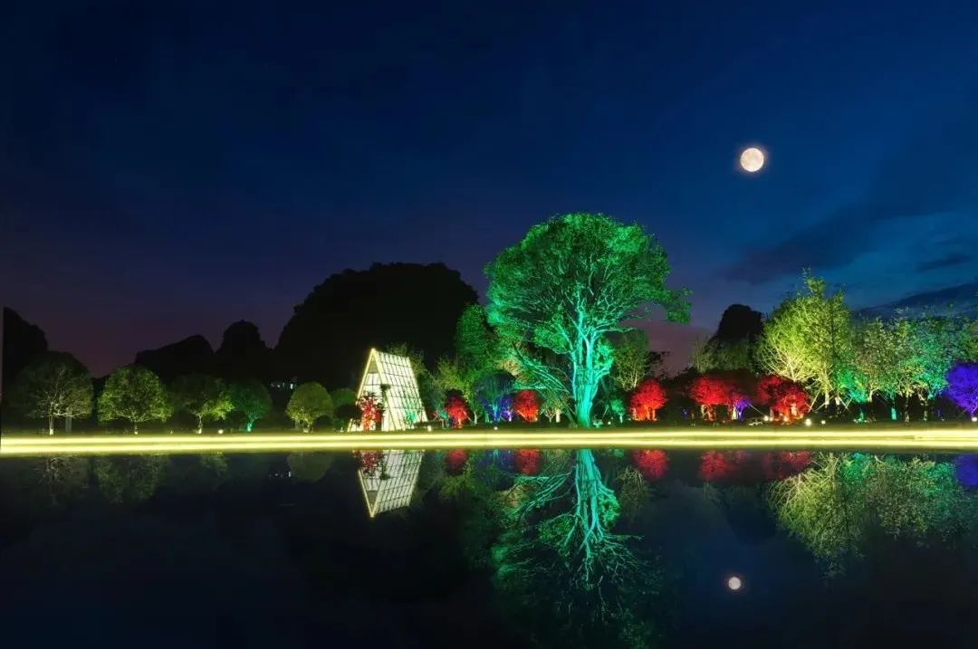 妗傛灄缇庨琛楁鑺辩硶,妗傛灄姝ｉ槼姝ヨ琛楃編椋熸鑺辩硶