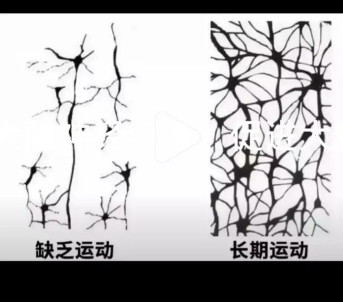 我的孩子疑似自闭症怎么办,7到17岁自闭症儿童如何康复训练