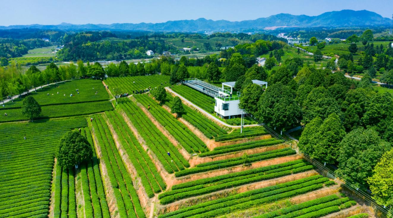 长沙适合夏天避暑打卡的地方,长沙周边旅游避暑推荐
