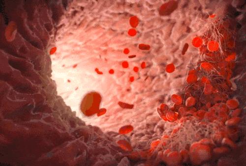 元気之羽养生舱,元気之羽旗舰店推荐