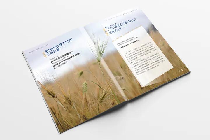 画册排版设计技巧有哪些,顶级画册设计排版注意什么