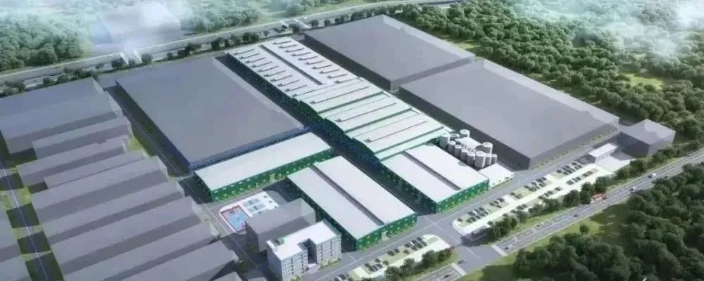 今日废纸价格大跌原因,废纸行情今日最新价