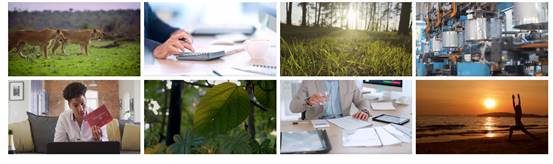 免费无水印风景视频素材下载网站,爱国视频素材无水印免费素材