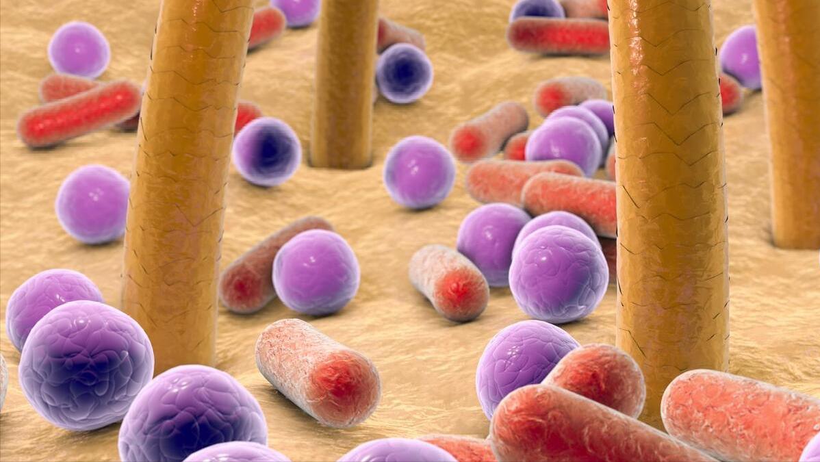 为什么屁股中间也会长“毛”？若是刮掉会怎样？网友：涨知识了