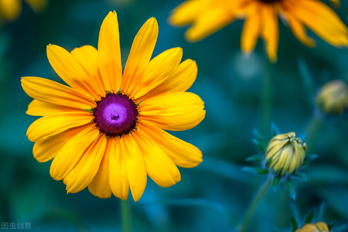 是你把我举过头顶看世界,是你把我举过头顶看到了更大世界