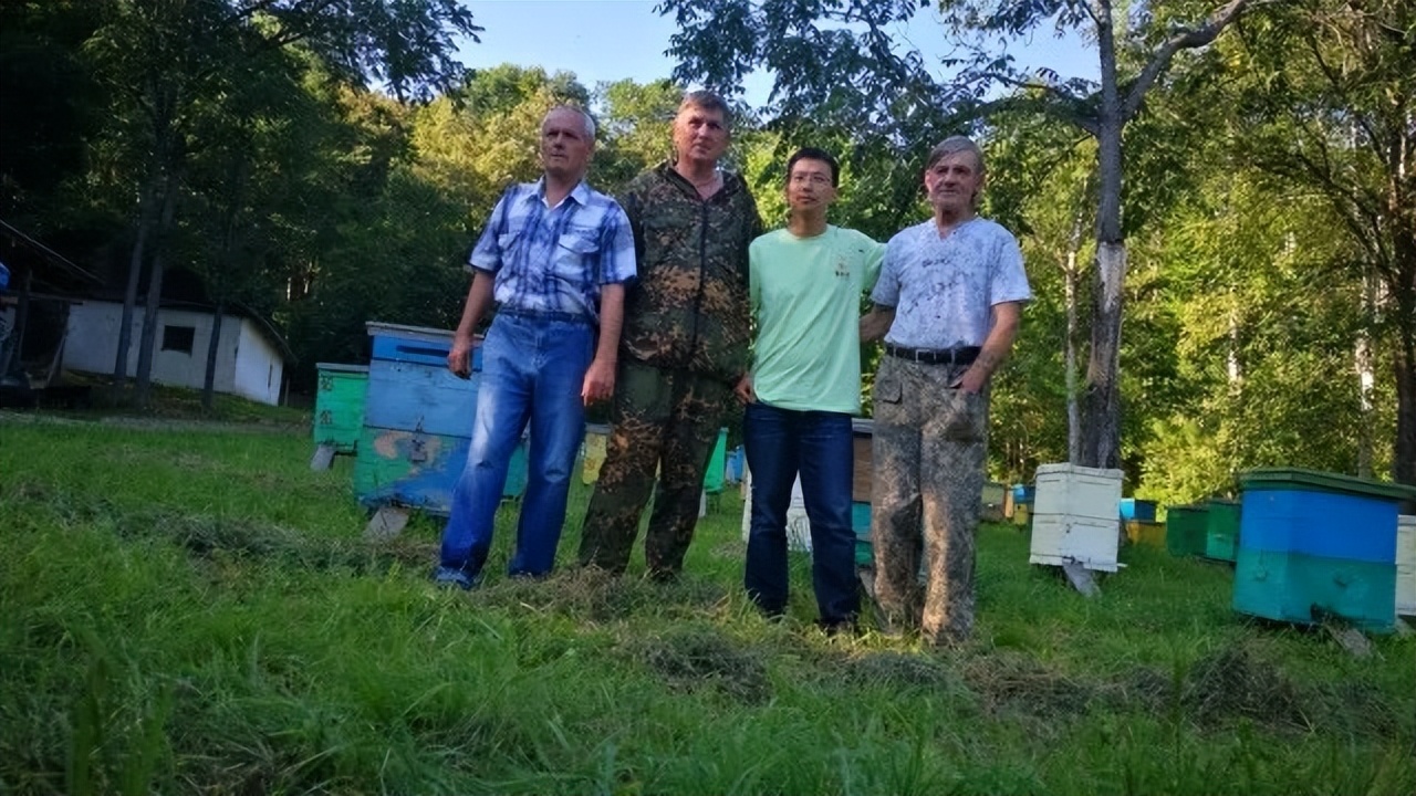 蜂蜜咋造假,蜂蜜作假的方法