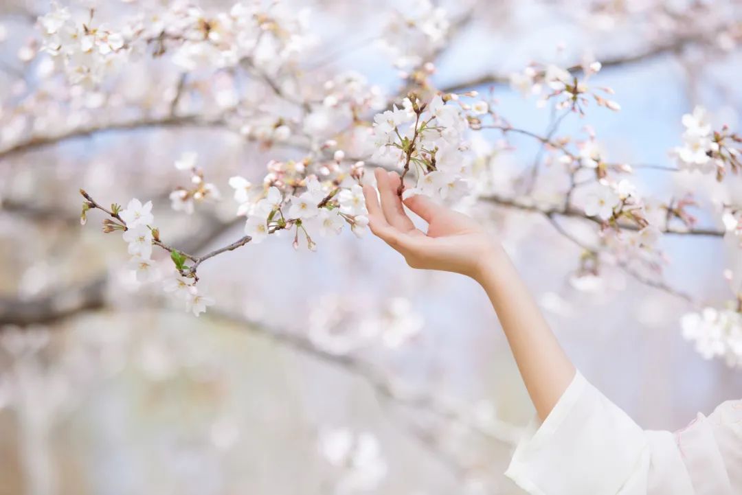 100首经典晚春诗词,十首春天诗词许你一场春暖花开