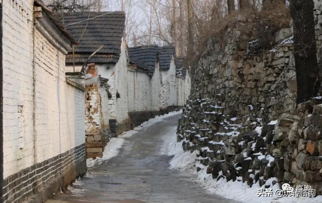 千万年的记忆,辛苦的记忆