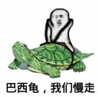 巴西龟不吃龟粮怎么回事,巴西龟一直不吃龟粮怎么回事