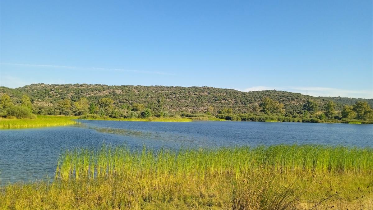 32岁小伙娶了68岁大妈下集,23岁小伙不顾反对娶46岁大妈