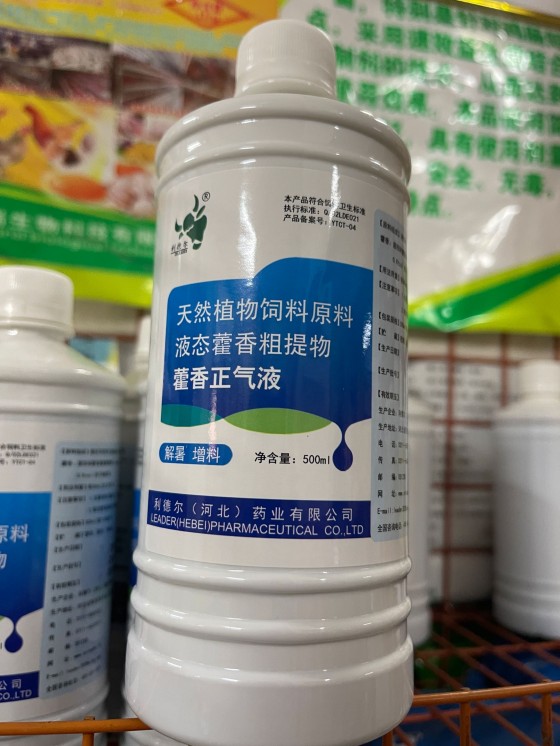 鸡中暑死了还能吃吗,鸡中暑的症状与治疗