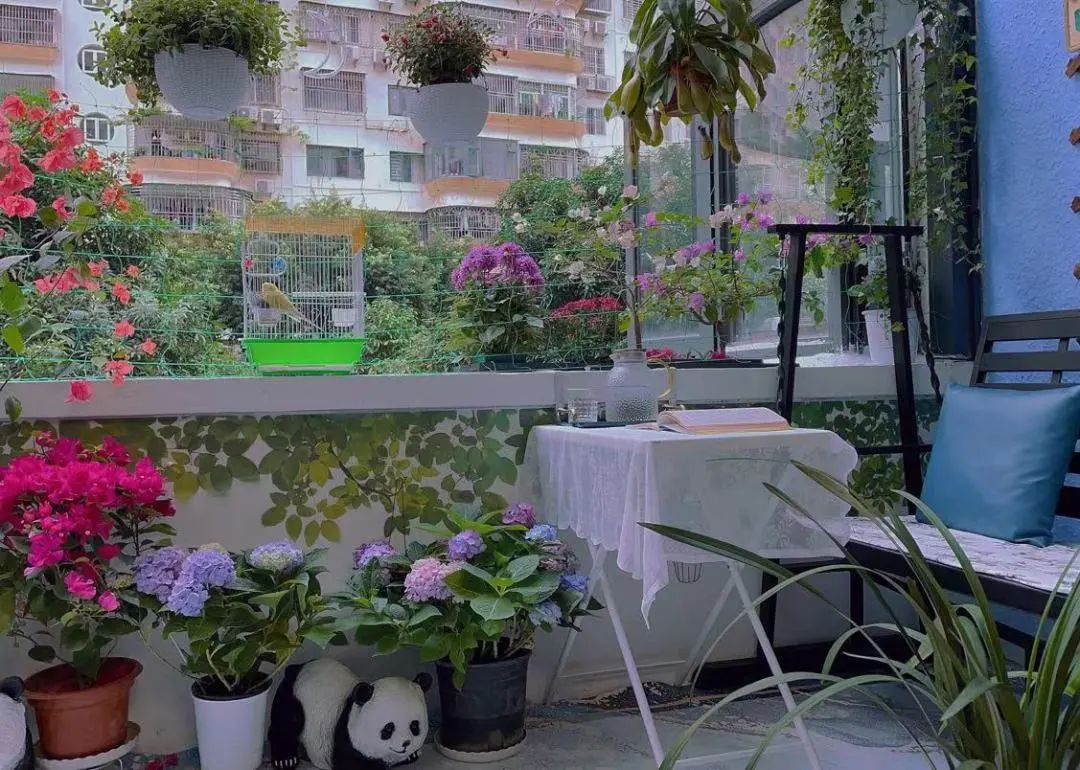 很多人羡慕的阳台,让别人羡慕的阳台