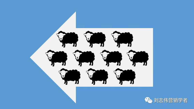 丁香园社群运营方案ppt,养老社区社群运营经验分享ppt