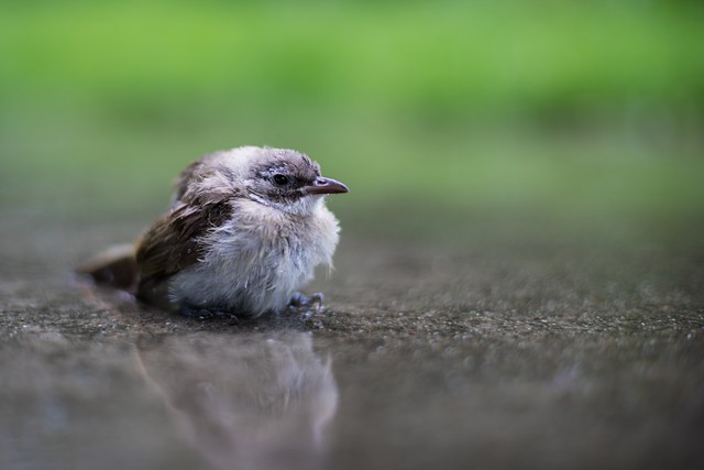 小人应该如何对付,怎么面对小人排挤