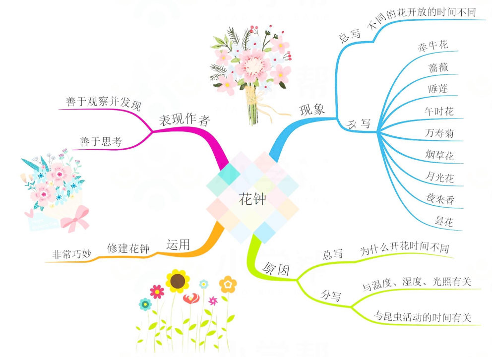 三年级语文大自然的声音思维导图,三年级上册语文整本书的思维导图