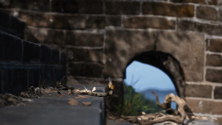 落地苏州!家门口的“长城”正式开放体验......