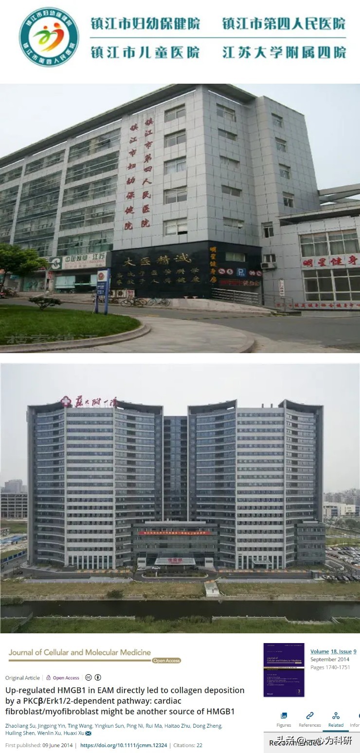 江苏大学附属四院发表的论文因相似的蛋白条带和问题引文被质疑