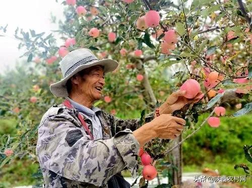 印台区创业孵化,印台发展前景怎么样