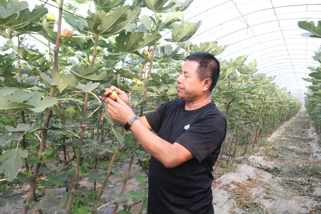 甜蜜来袭解放街道虹桥社区,甜蜜来袭柳江