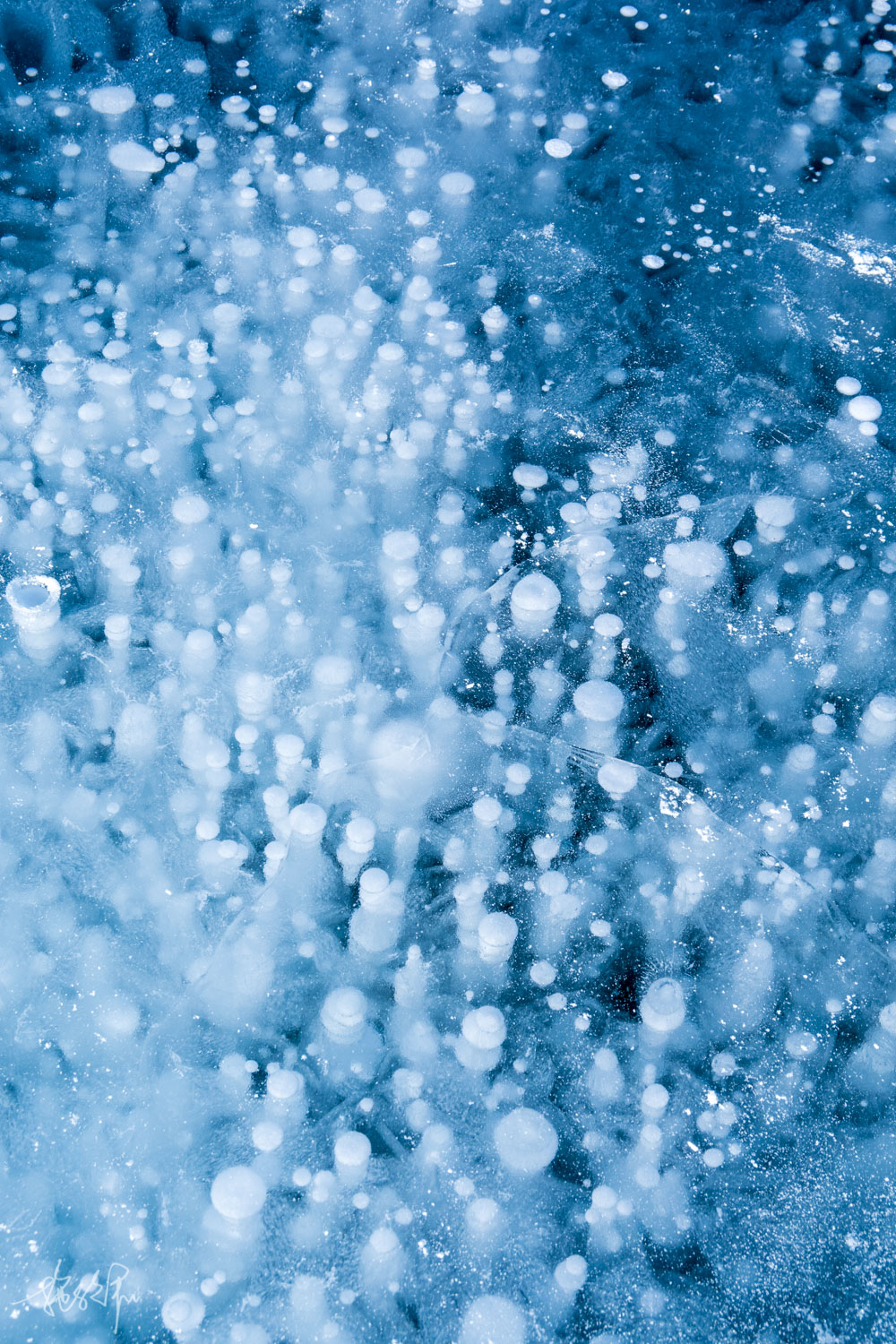 自驾游中亚五国,浅玩七天总结