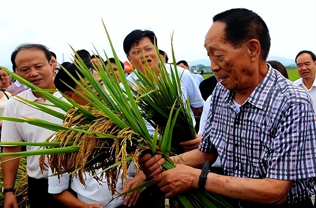 汪海林揭穿娱乐圈内幕,汪海林被炮轰完整视频