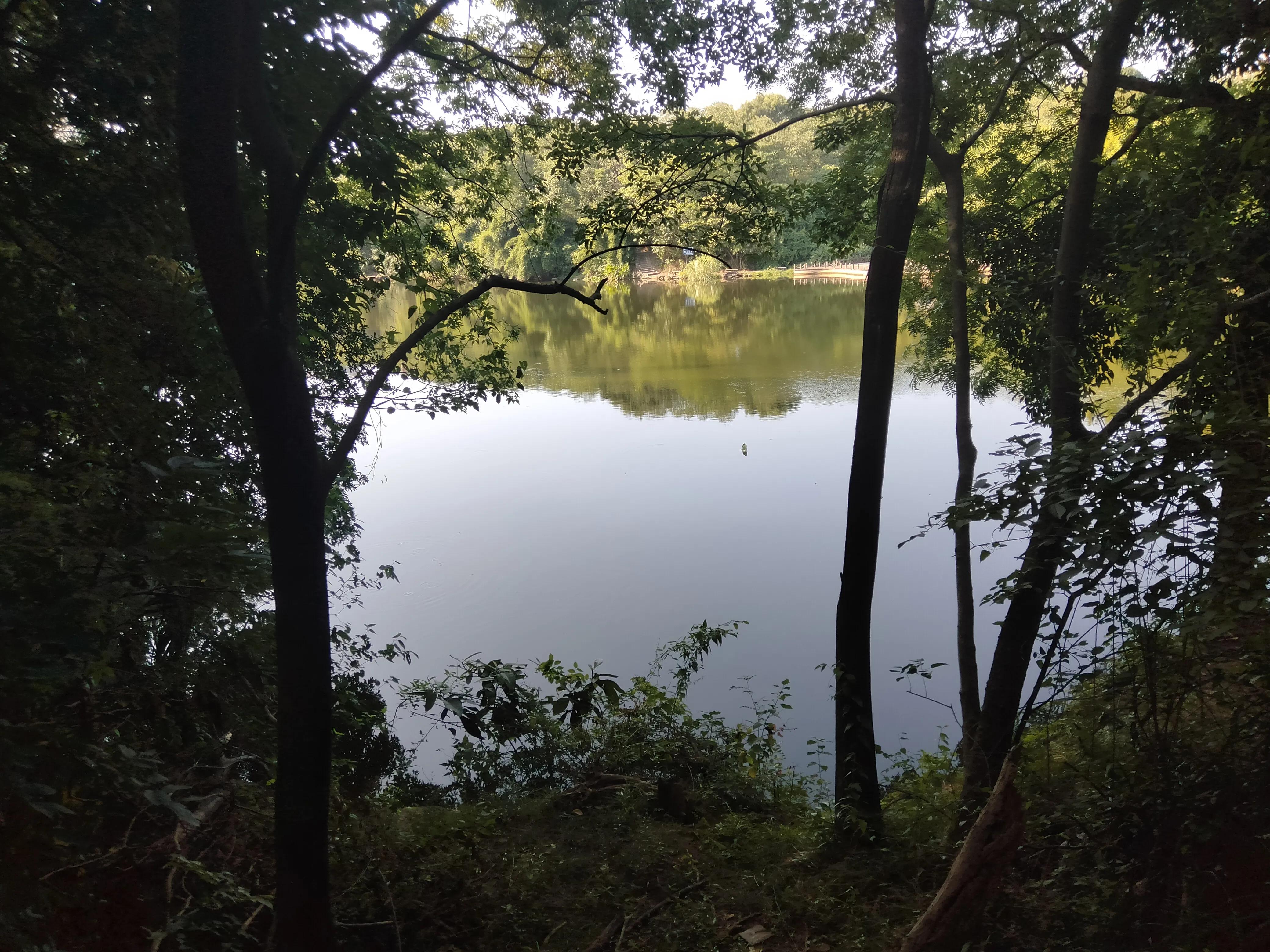 平湖明湖公园攻略,平湖公园免费景点