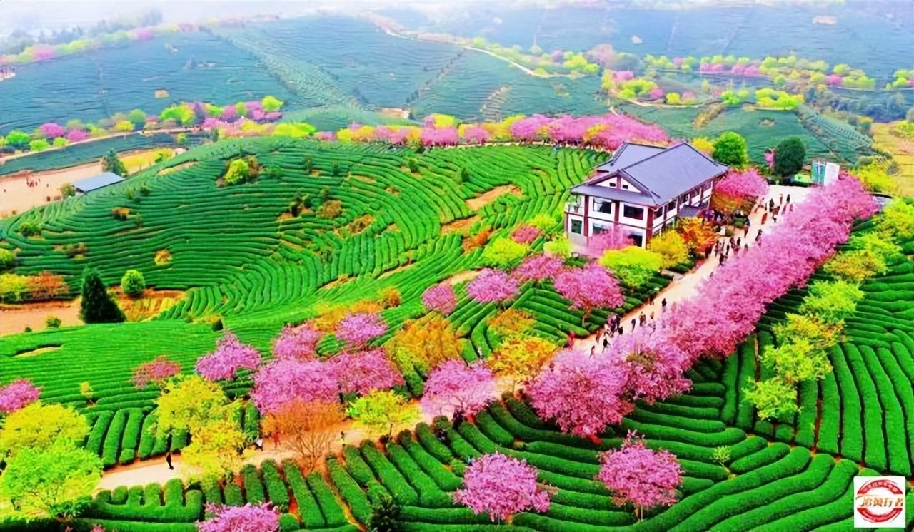 2023年2月11-19追风行者自驾永定土楼-鼓浪屿-九曲溪9日游招募中