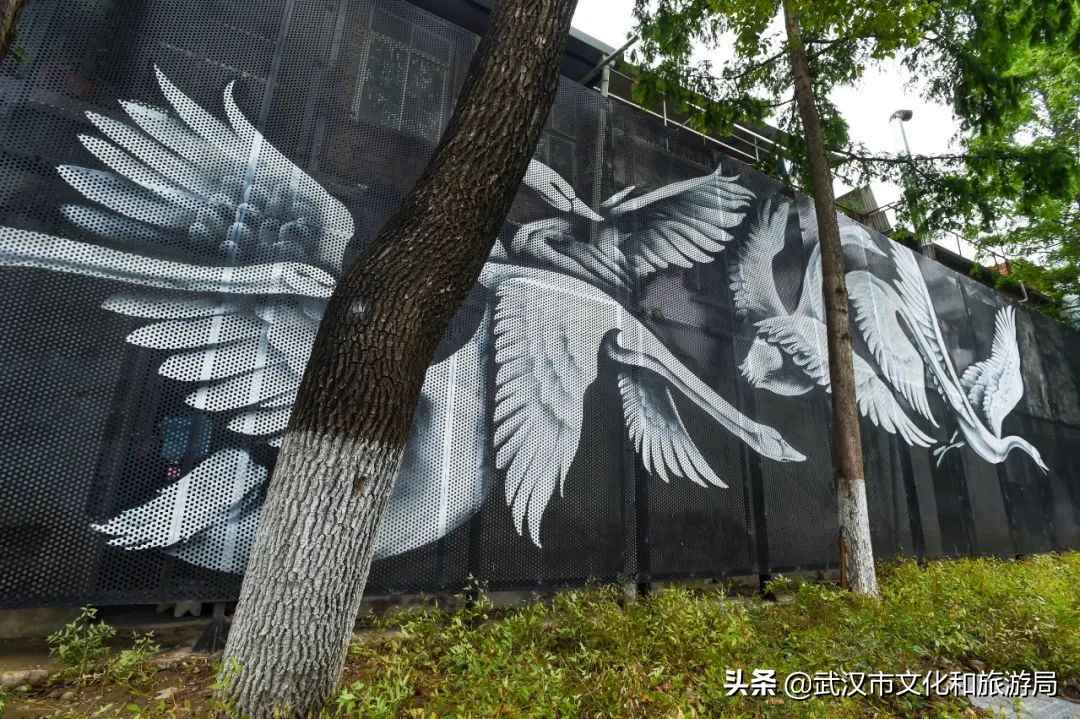 焕新乐园未来5年规划,湿地公园改造前后对比