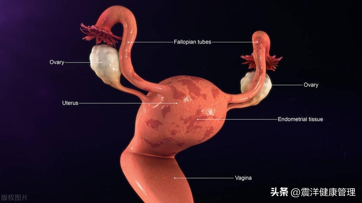 妇科检查前晚,没忍住跟老公亲热了,医生听后说不能检查,咋回事
