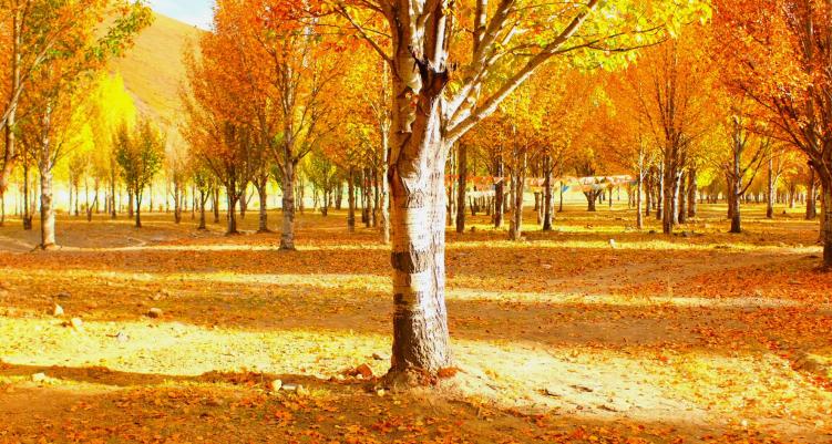 滇藏西自驾,西行滇藏自驾游