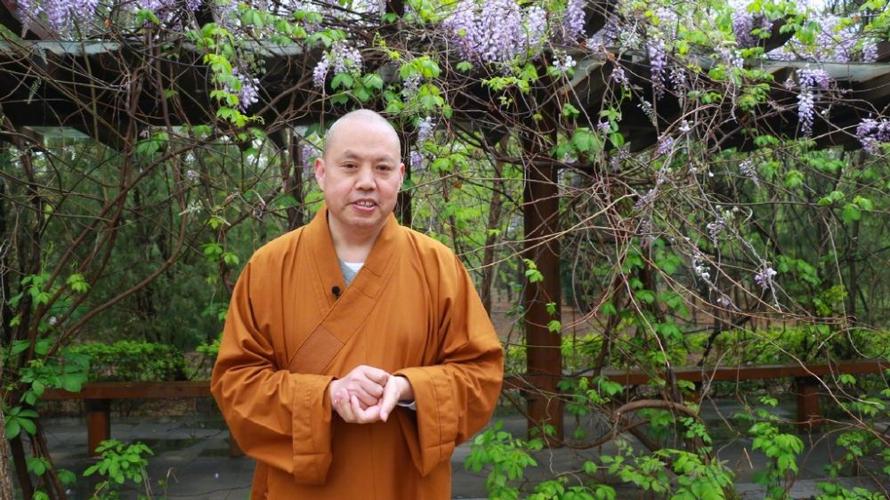 延参法师被猴耍的搞笑视频,延参法师淡定斗猴系列视频