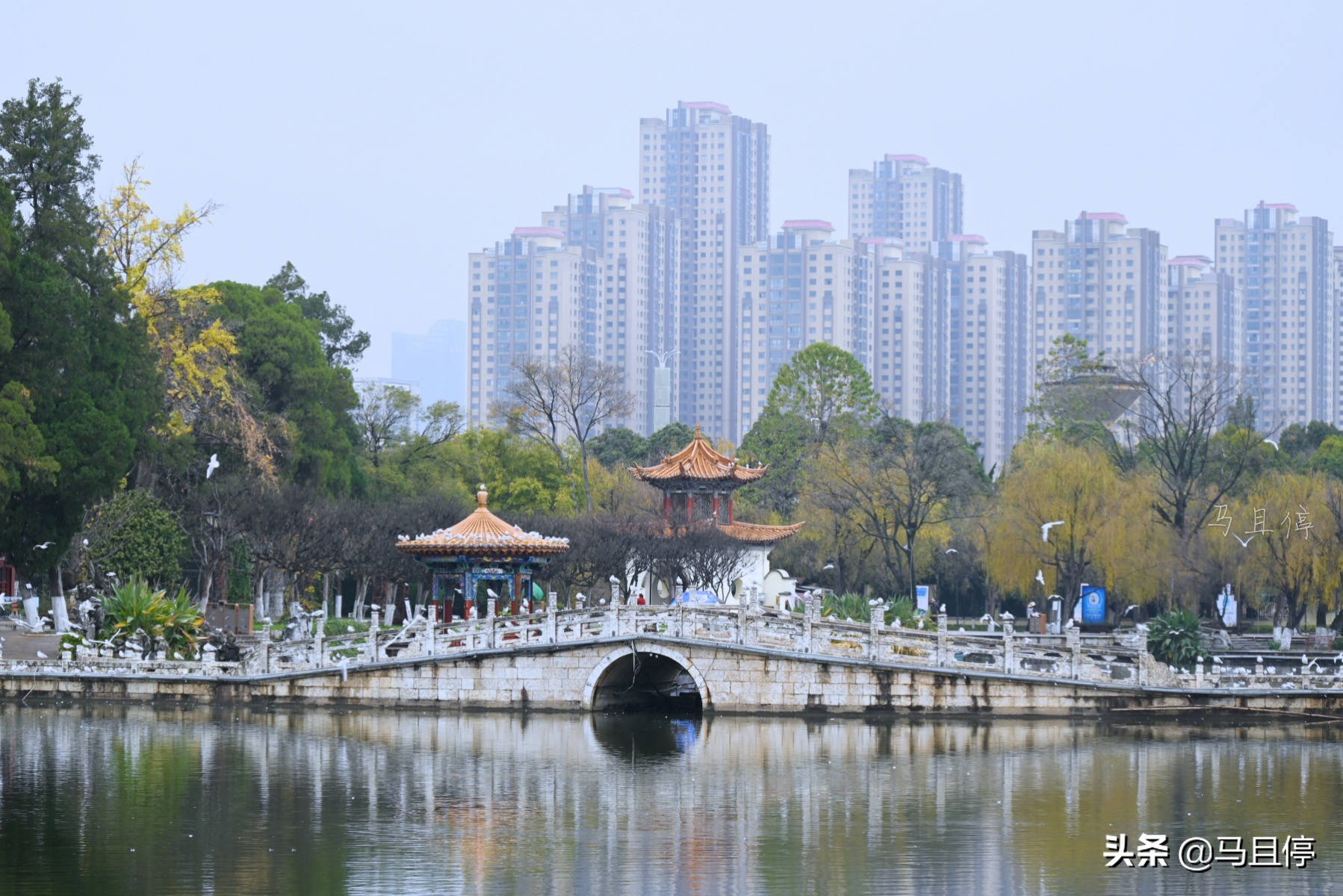 昆明滇池南岸古迹,昆明滇池哪个景点好